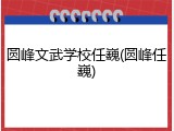 圆峰文武学校任巍(圆峰任巍)