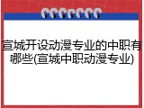 宣城开设动漫专业的中职有哪些(宣城中职动漫专业)