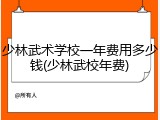 少林武术学校一年费用多少钱(少林武校年费)