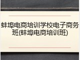 蚌埠电商培训学校电子商务班(蚌埠电商培训班)