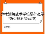 少林延鲁武术学校是什么学校(少林延鲁武校)