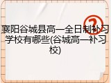 襄阳谷城县高一全日制补习学校有哪些(谷城高一补习校)