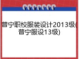 普宁职校服装设计2013级(普宁服设13级)