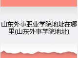 山东外事职业学院地址在哪里(山东外事学院地址)