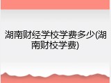 湖南财经学校学费多少(湖南财校学费)