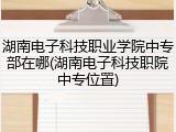 湖南电子科技职业学院中专部在哪(湖南电子科技职院中专位置)
