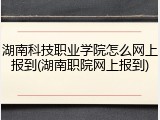 湖南科技职业学院怎么网上报到(湖南职院网上报到)