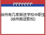 徐州有几家叛逆学校中职生(徐州叛逆职校)