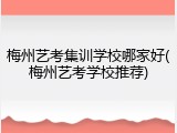 梅州艺考集训学校哪家好(梅州艺考学校推荐)