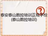 泰安泰山数控培训正规学校(泰山数控培训)