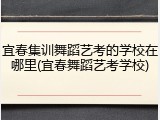 宜春集训舞蹈艺考的学校在哪里(宜春舞蹈艺考学校)