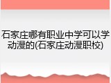 石家庄哪有职业中学可以学动漫的(石家庄动漫职校)