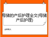 母猪的产后护理全文(母猪产后护理)