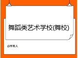 舞蹈类艺术学校(舞校)