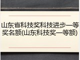 山东省科技奖科技进步一等奖名额(山东科技奖一等额)