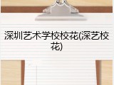 深圳艺术学校校花(深艺校花)