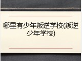 哪里有少年叛逆学校(叛逆少年学校)