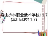 嵩山少林职业武术学校11.7(嵩山武校11.7)