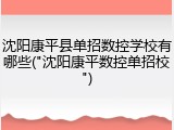 沈阳康平县单招数控学校有哪些("沈阳康平数控单招校")