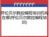呼伦贝尔数控编程培训机构在哪(呼伦贝尔数控编程培训)