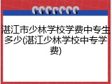 湛江市少林学校学费中专生多少(湛江少林学校中专学费)
