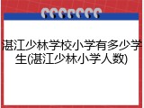 湛江少林学校小学有多少学生(湛江少林小学人数)