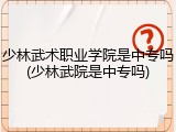 少林武术职业学院是中专吗(少林武院是中专吗)