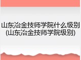 山东冶金技师学院什么级别(山东冶金技师学院级别)