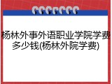 杨林外事外语职业学院学费多少钱(杨林外院学费)