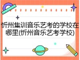 忻州集训音乐艺考的学校在哪里(忻州音乐艺考学校)