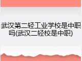 武汉第二轻工业学校是中职吗(武汉二轻校是中职)