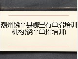 潮州饶平县哪里有单招培训机构(饶平单招培训)