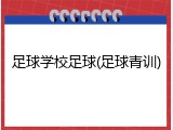 足球学校足球(足球青训)
