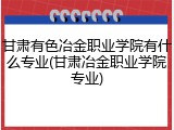 甘肃有色冶金职业学院有什么专业(甘肃冶金职业学院专业)