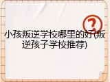 小孩叛逆学校哪里的好(叛逆孩子学校推荐)