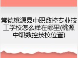 常德桃源县中职数控专业技工学校怎么样在哪里(桃源中职数控技校位置)