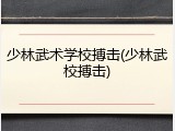 少林武术学校搏击(少林武校搏击)