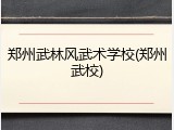 郑州武林风武术学校(郑州武校)