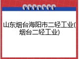 山东烟台海阳市二轻工业(烟台二轻工业)