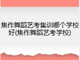 焦作舞蹈艺考集训哪个学校好(焦作舞蹈艺考学校)