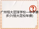 广州恒大足球学校一年学费多少(恒大足校年费)