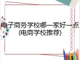 电子商务学校哪一家好一点(电商学校推荐)