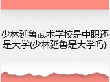 少林延鲁武术学校是中职还是大学(少林延鲁是大学吗)