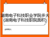 湖南电子科技职业学院多大(湖南电子科技职院面积)
