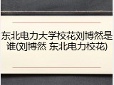 东北电力大学校花刘博然是谁(刘博然 东北电力校花)