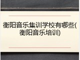 衡阳音乐集训学校有哪些(衡阳音乐培训)