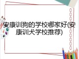 安康训狗的学校哪家好(安康训犬学校推荐)