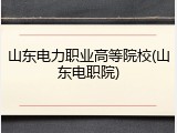 山东电力职业高等院校(山东电职院)