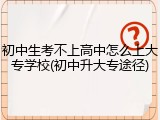 初中生考不上高中怎么上大专学校(初中升大专途径)