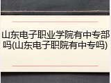 山东电子职业学院有中专部吗(山东电子职院有中专吗)